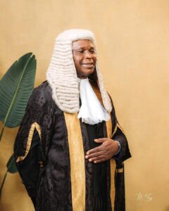Lateef Fagbemi, SAN in ceremonial attire